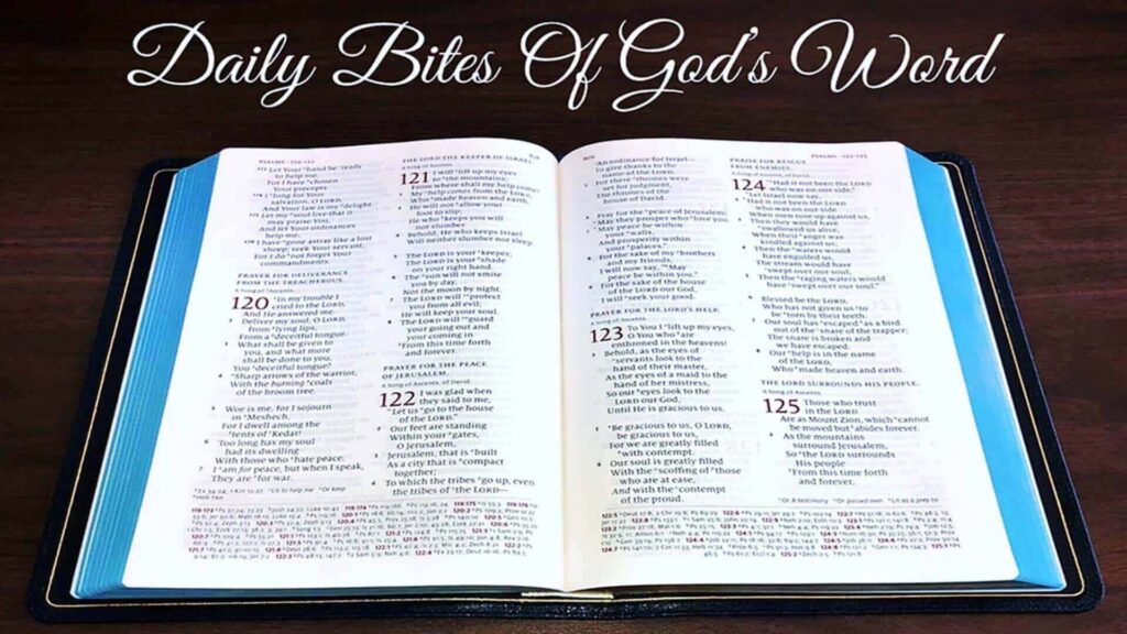 Daily Bites Of God's Word Widescreen Picture