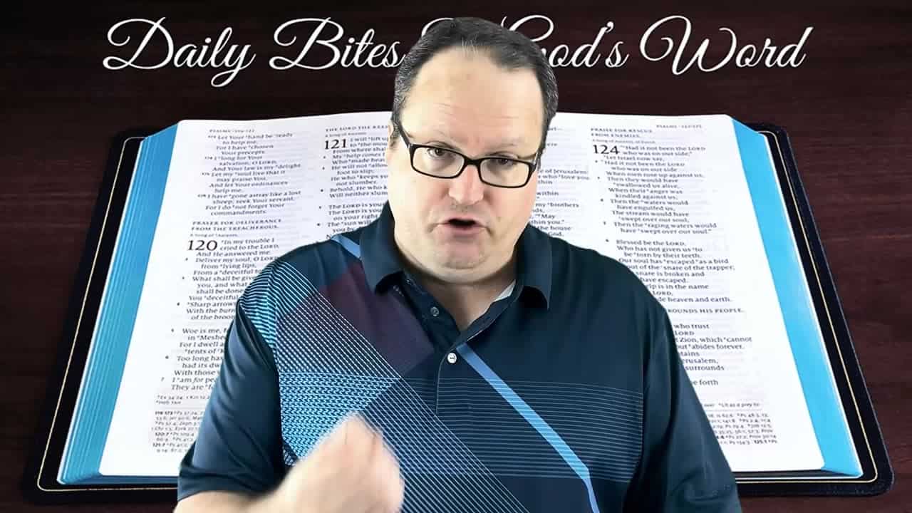 Daily Bites Of God's Word - Part 17 - Psalm 11917