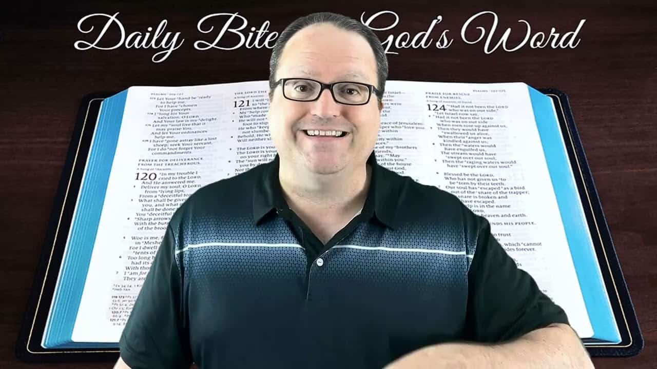 Daily Bites Of God's Word - Part 18 - Psalm 11918