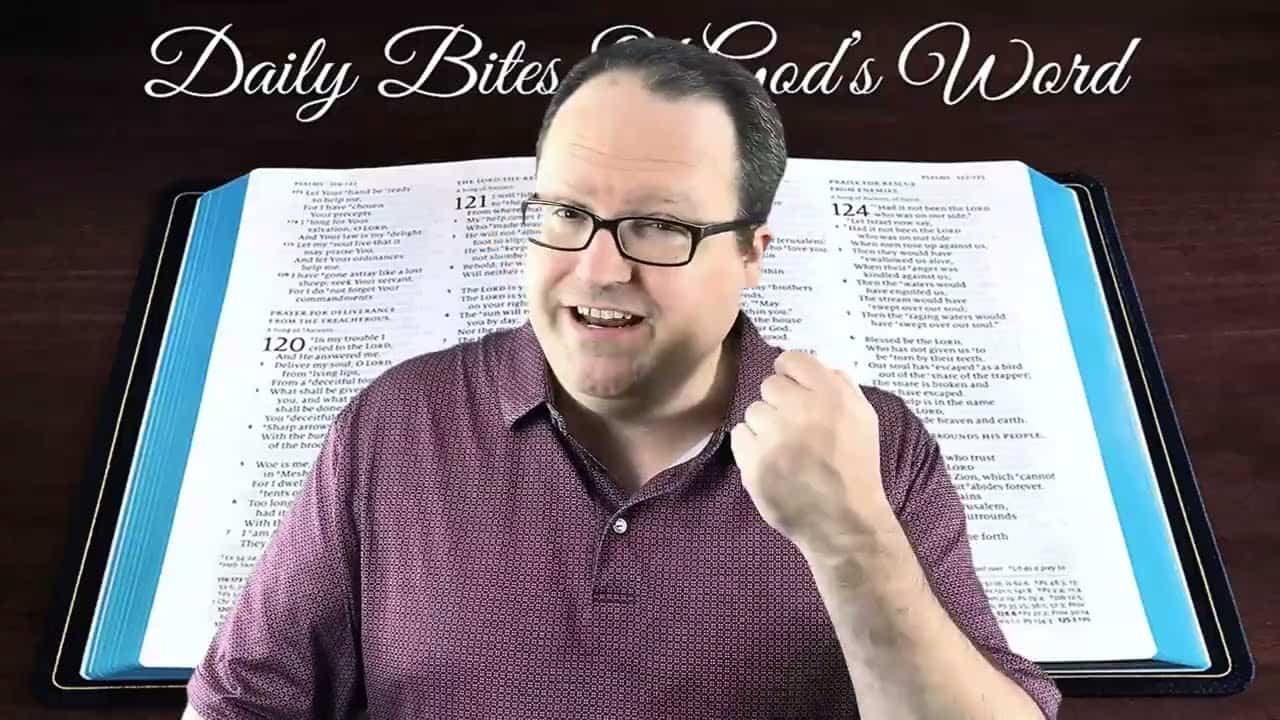 Daily Bites Of God's Word - Part 19 - Psalm 11919