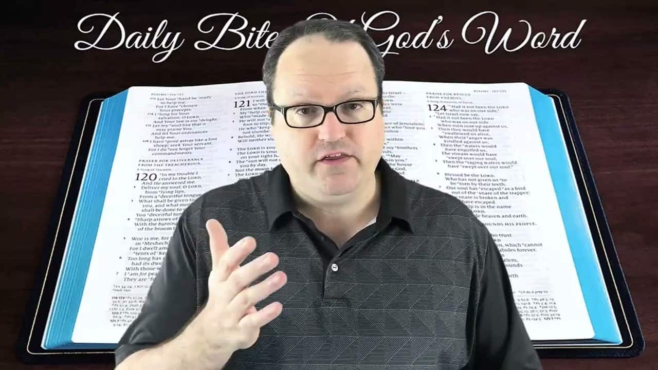 Daily Bites Of God's Word - Part 20 - Psalm 11920